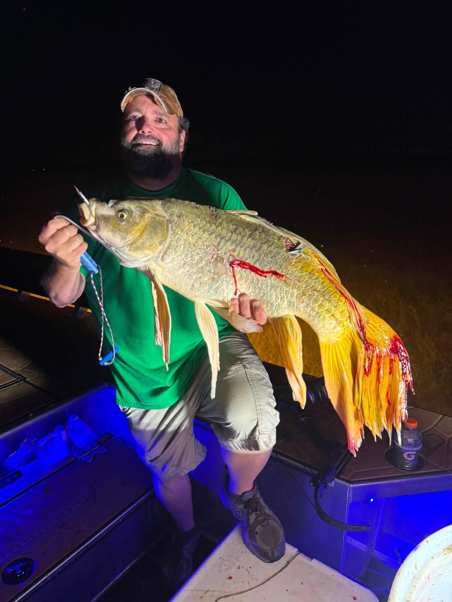 Angler holding a large golden carp at night