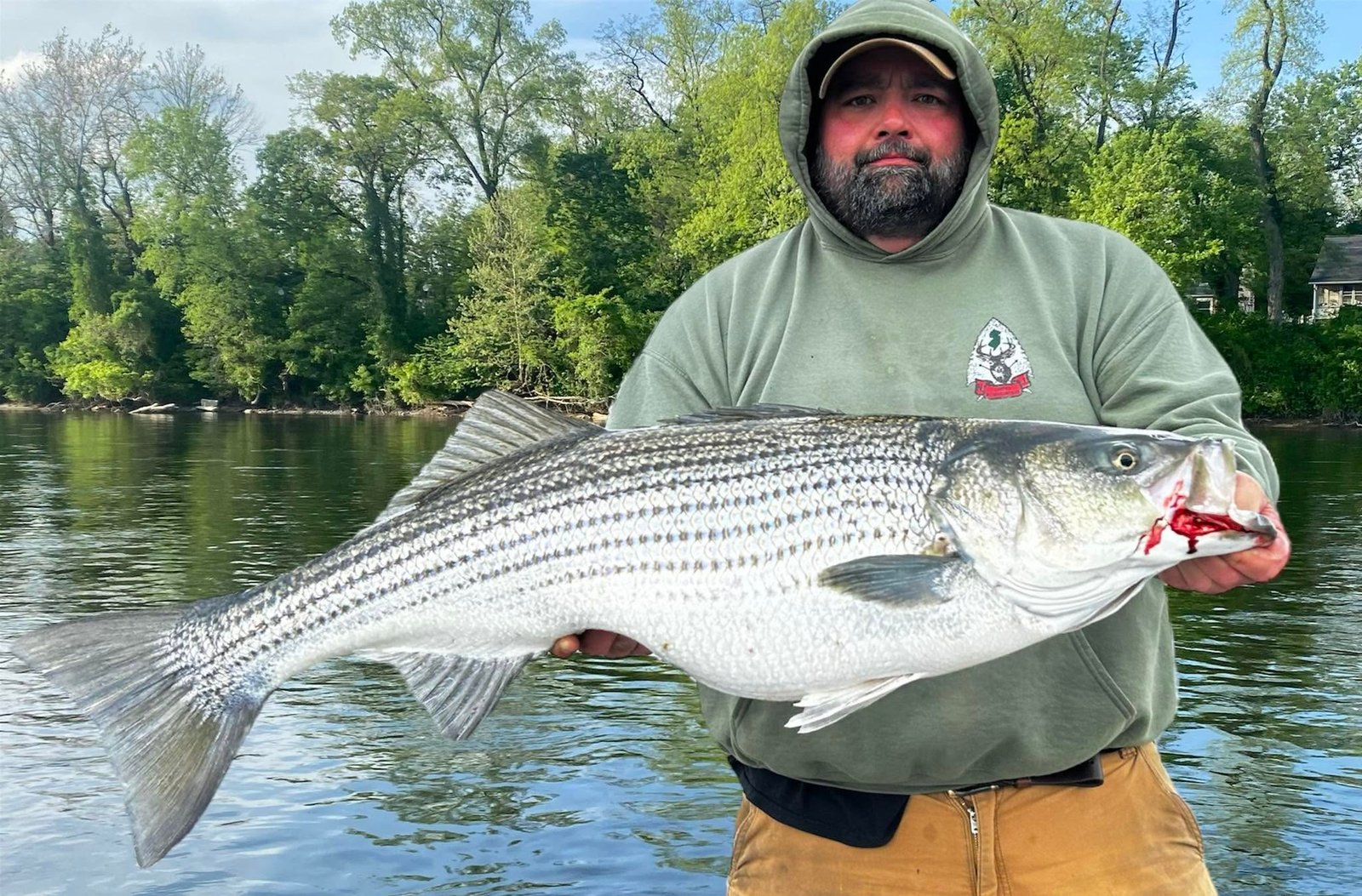 Captain Dom holding a striped bass on the Delaware River