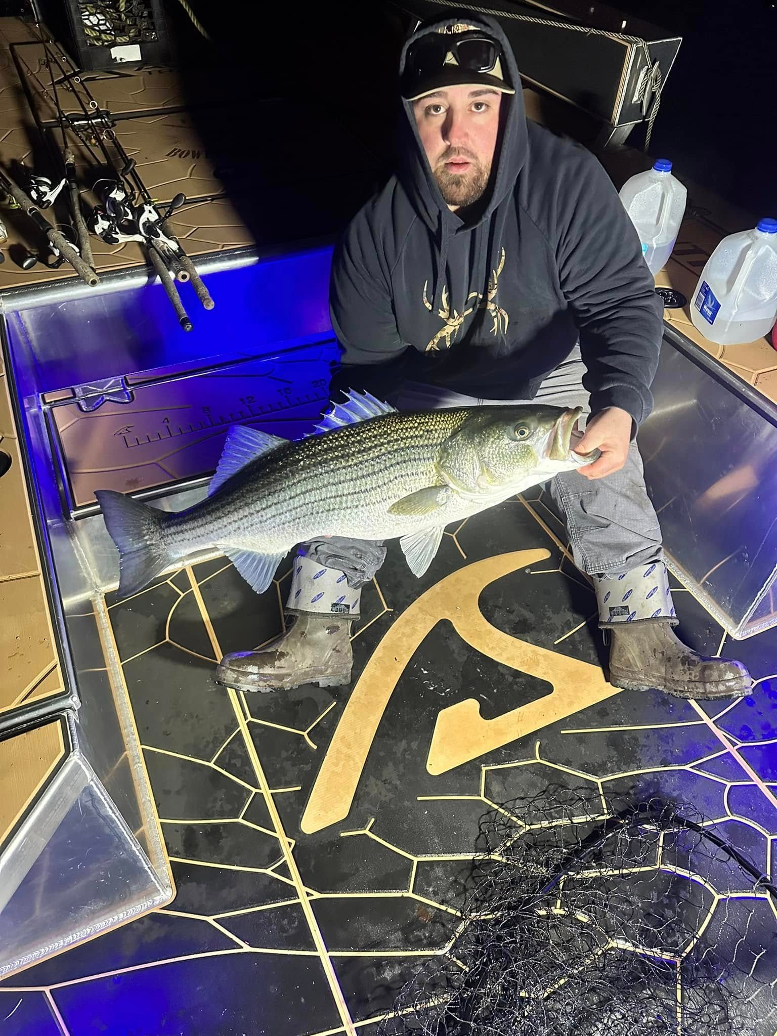 Two anglers holding striped bass caught at night
