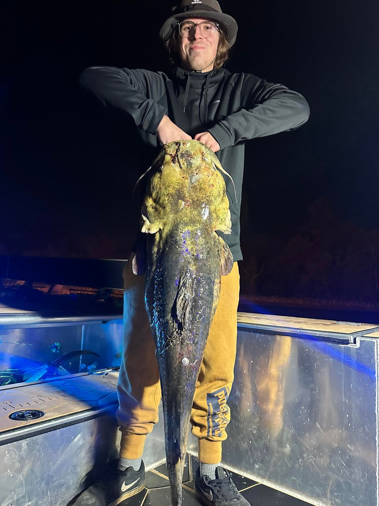 Angler holding a large flathead catfish at night